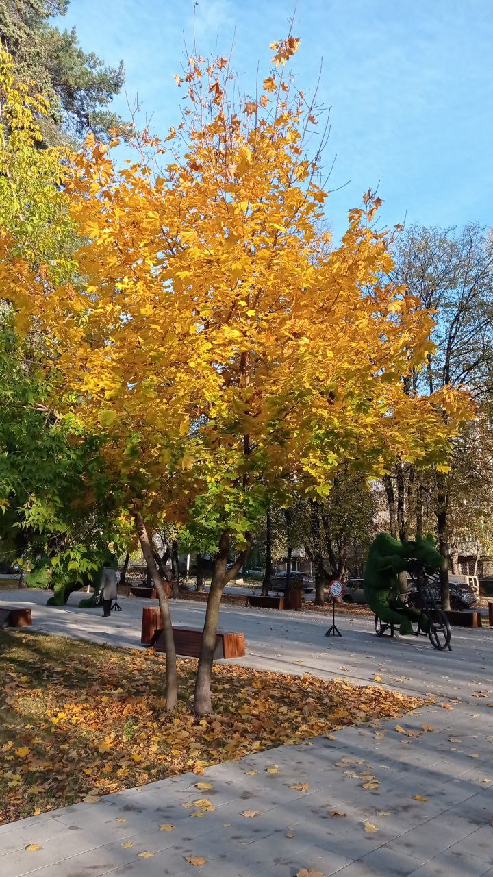 Животина на велосипеде - вроде жираф. Но таблички нет, поэтому не точно.