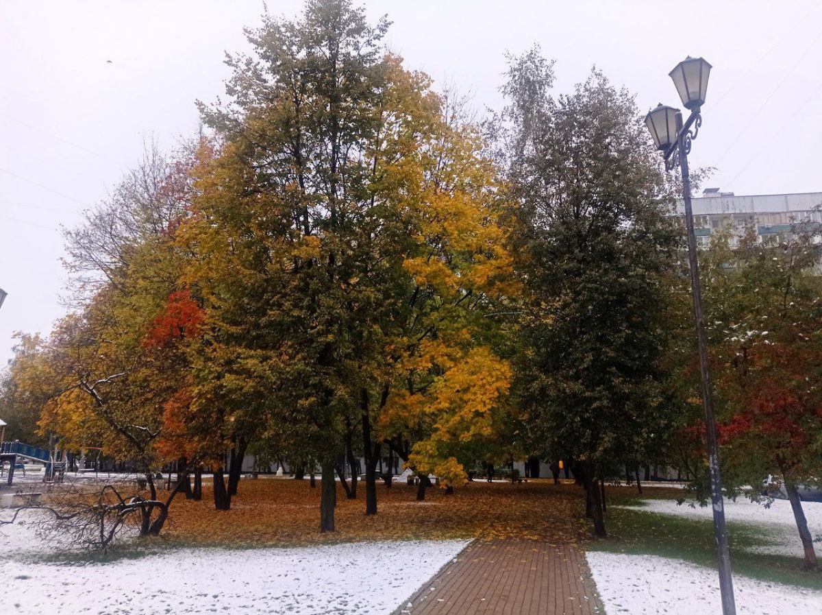 После внезапной метели город выглядел как плохой фотошоп.